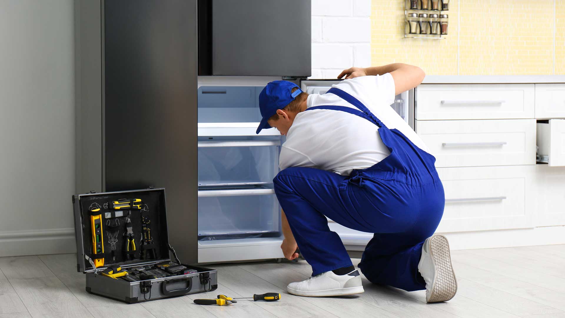 Professional Fridge Repair in San Diego - Same-day service, licensed technicians, factory-authorized repairs